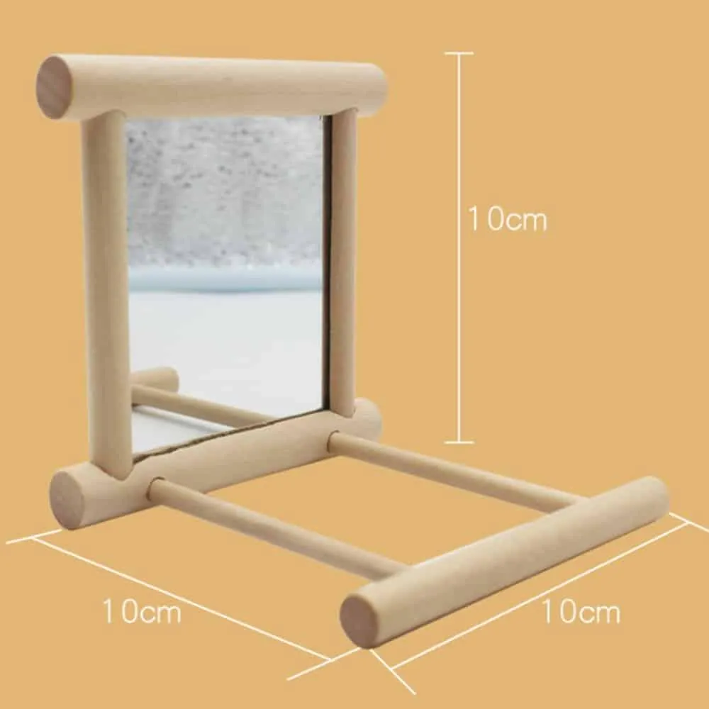 Bird's Mirror Toy
