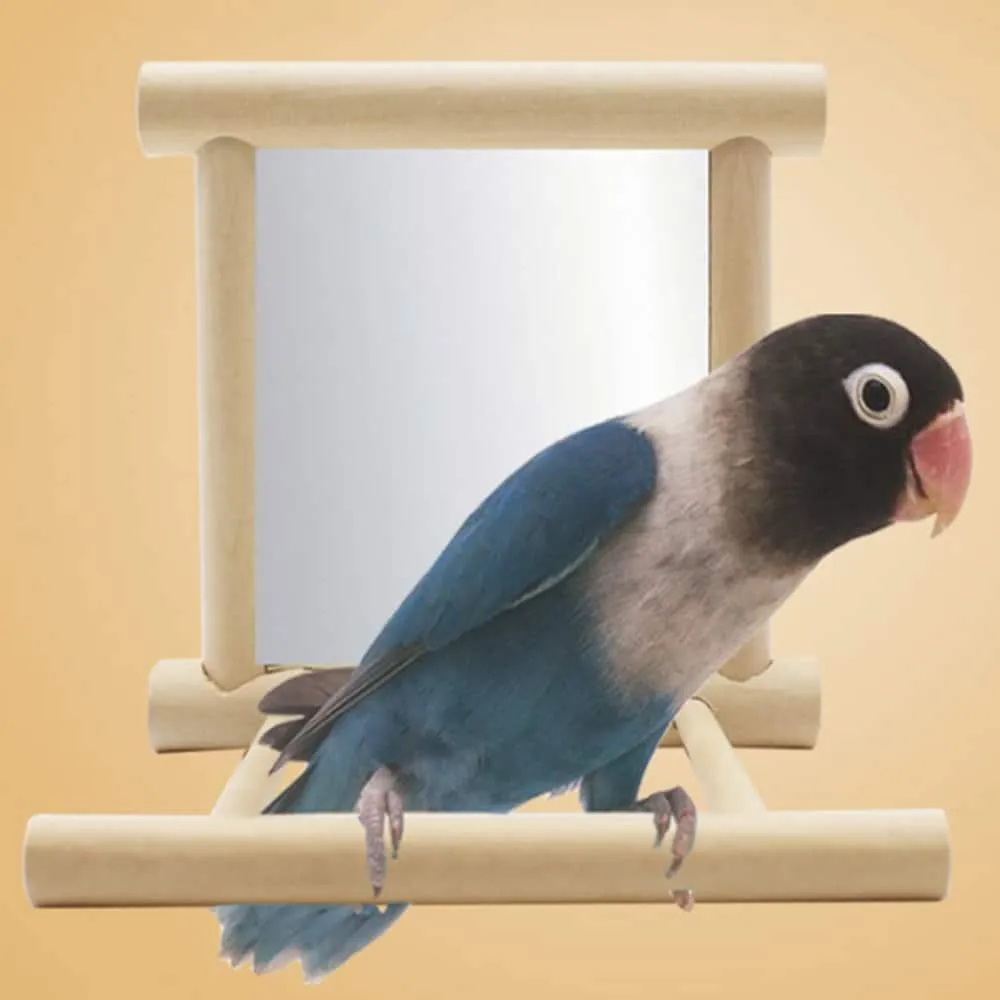 Bird's Mirror Toy