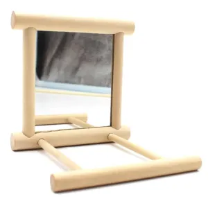 Bird's Mirror Toy