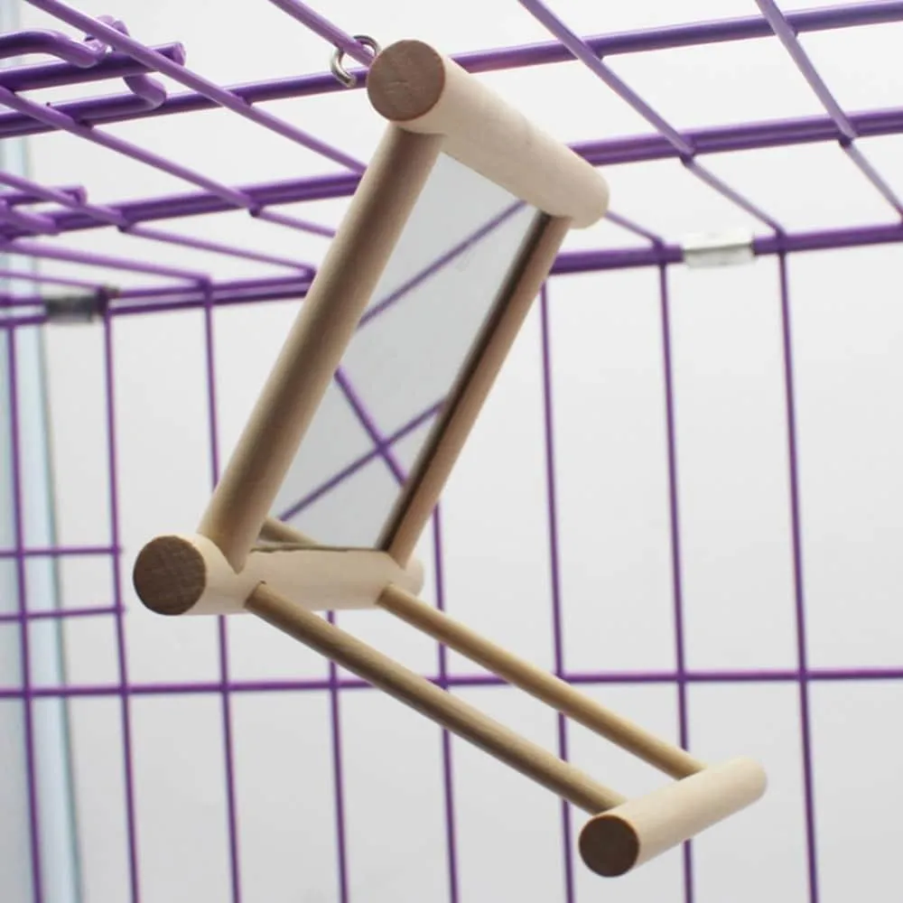 Bird's Mirror Toy