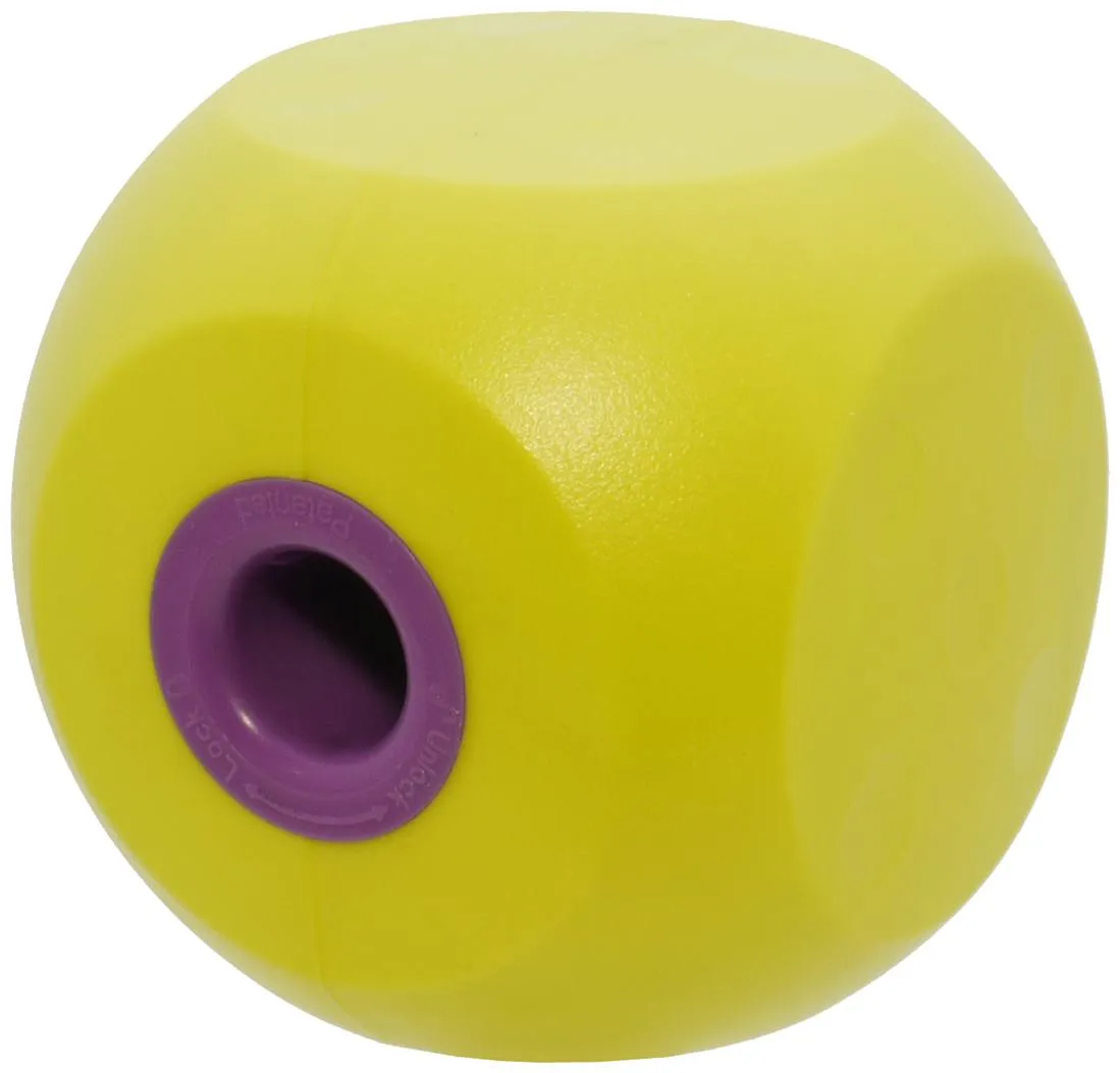 Buster Cube Mini Cube Dog Toy