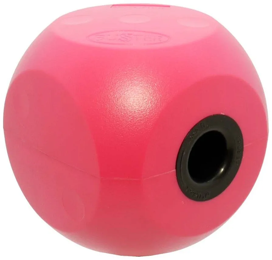 Buster Cube Mini Cube Dog Toy