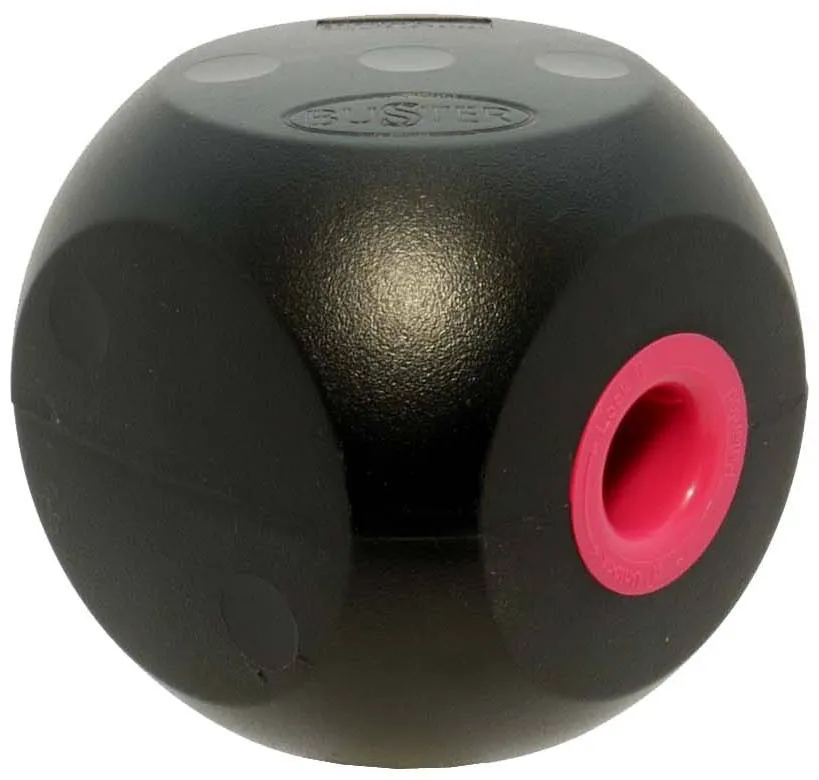 Buster Cube Mini Cube Dog Toy