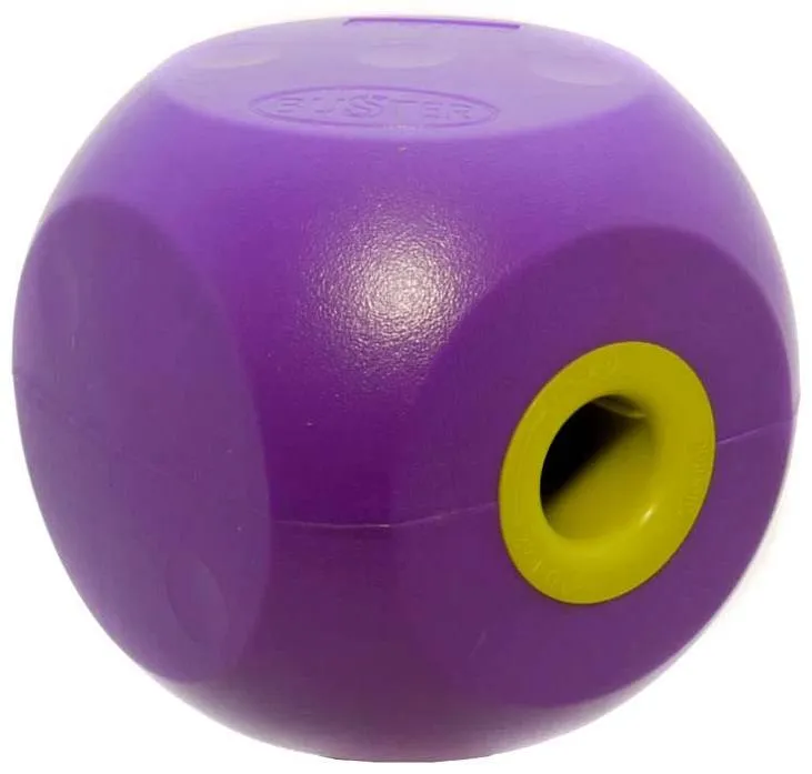 Buster Cube Mini Cube Dog Toy