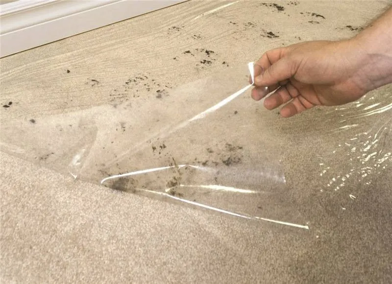 Carpet Shield 36inx500ft Clr