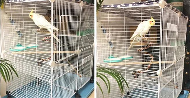 DIY Cage Playpen Fence Small Animal Cage System for Indoor Outdoor (Metal 1.5cm)