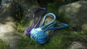 Dog Toys Wholesale RRP £10