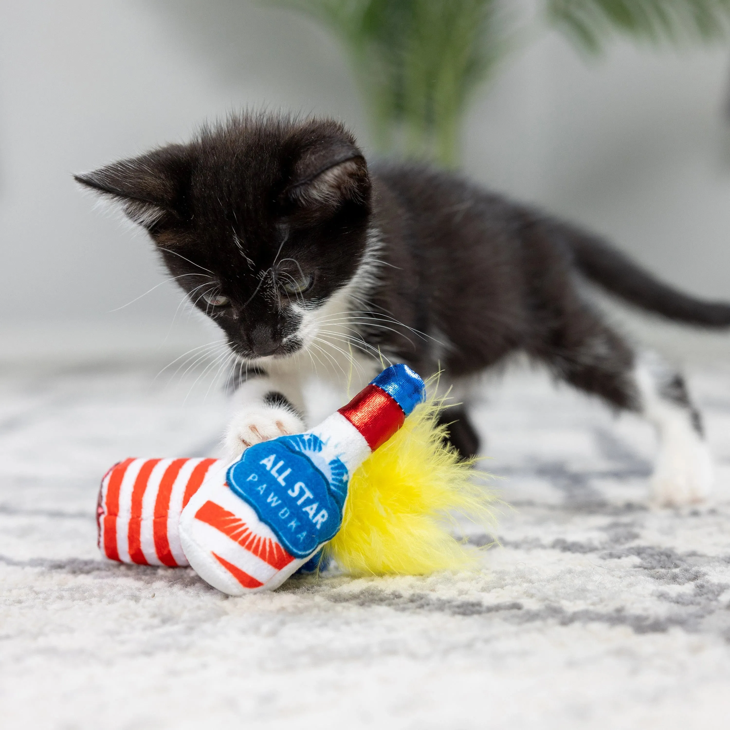 Firecracker & All Star Pawdka 2pk Cat Toy
