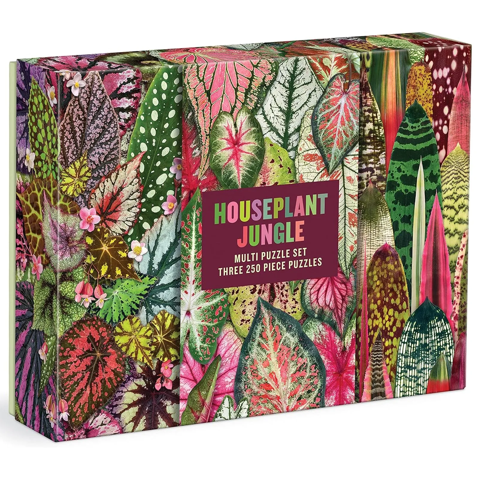 Galison Houseplant Jungle Multipuzzle Jigsaw Set 250pcs