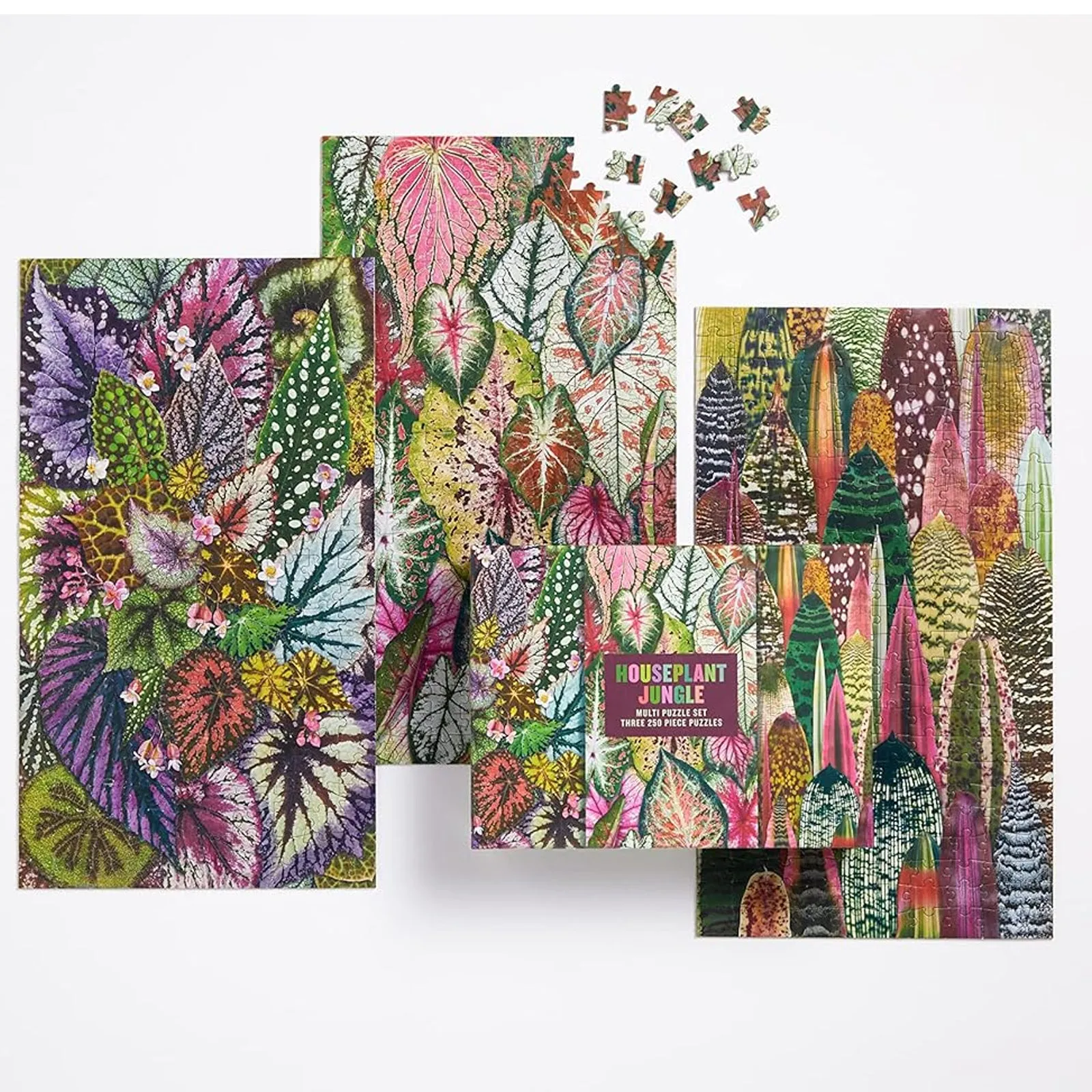 Galison Houseplant Jungle Multipuzzle Jigsaw Set 250pcs