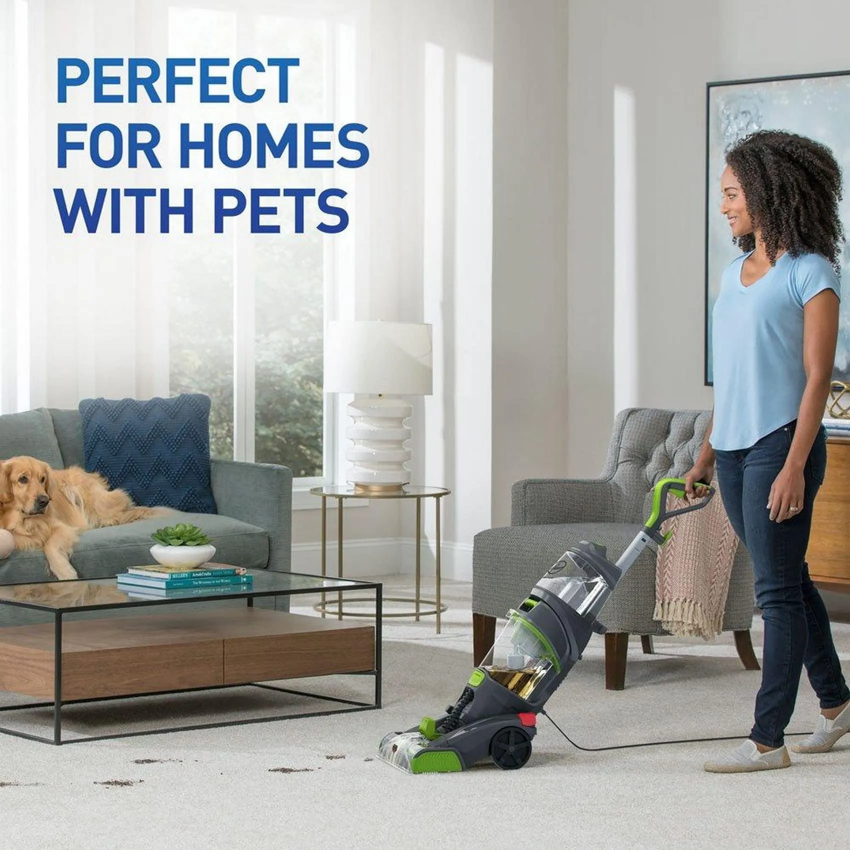 HOOVER Dual Power Max Pet Carpet Cleaner Dog Cat