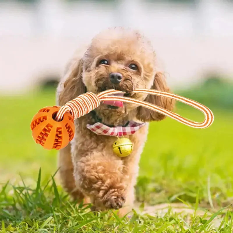 Interactive Dog Ball Toy with Rope for Training