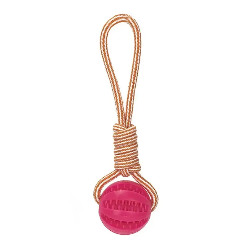 Interactive Dog Ball Toy with Rope for Training