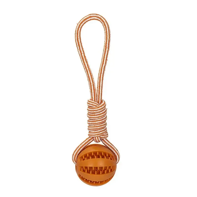 Interactive Dog Ball Toy with Rope for Training