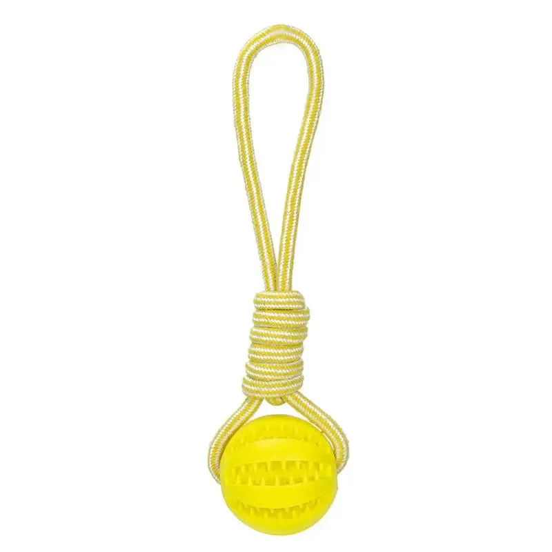 Interactive Dog Ball Toy with Rope for Training
