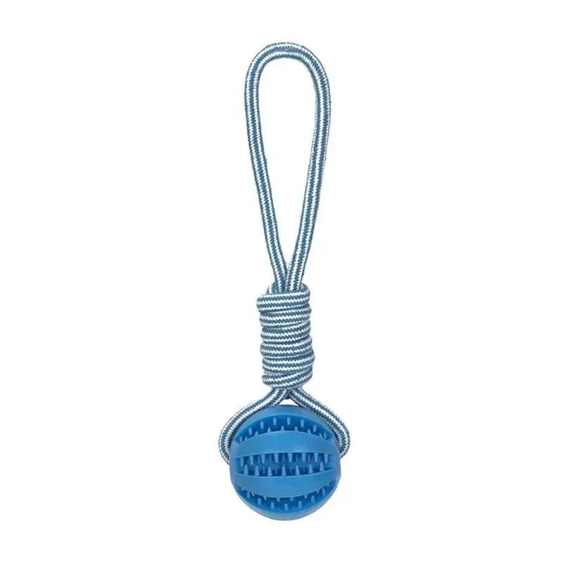 Interactive Dog Ball Toy with Rope for Training
