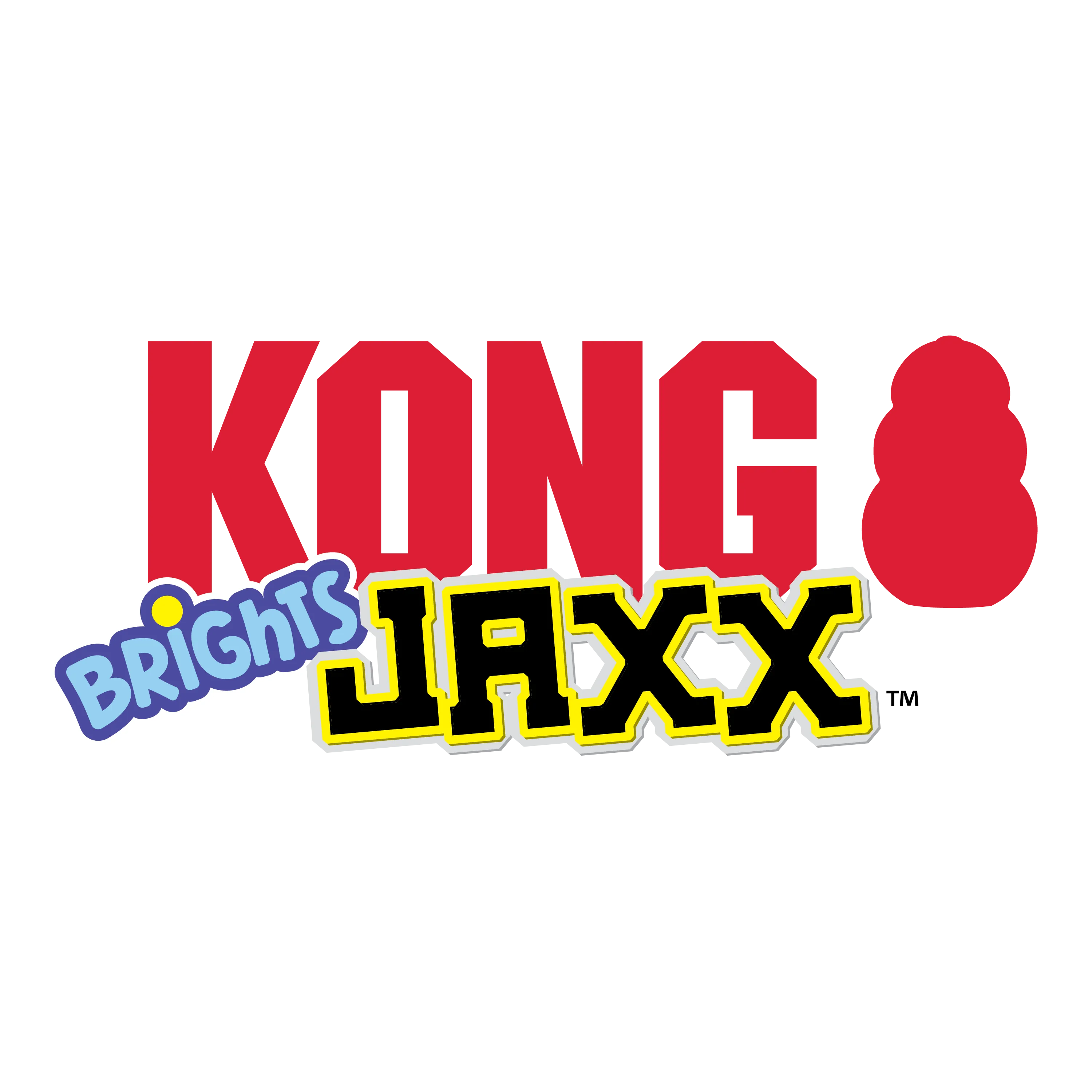 KONG Jaxx Brights Ball W/Rope Assorted Dog Toys