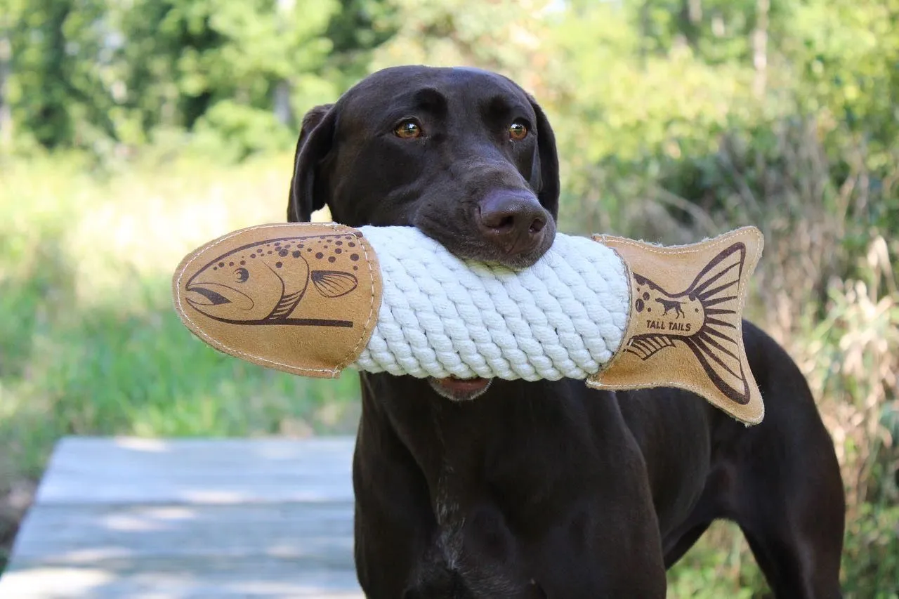 Leather Trout Crunch Dog Toy