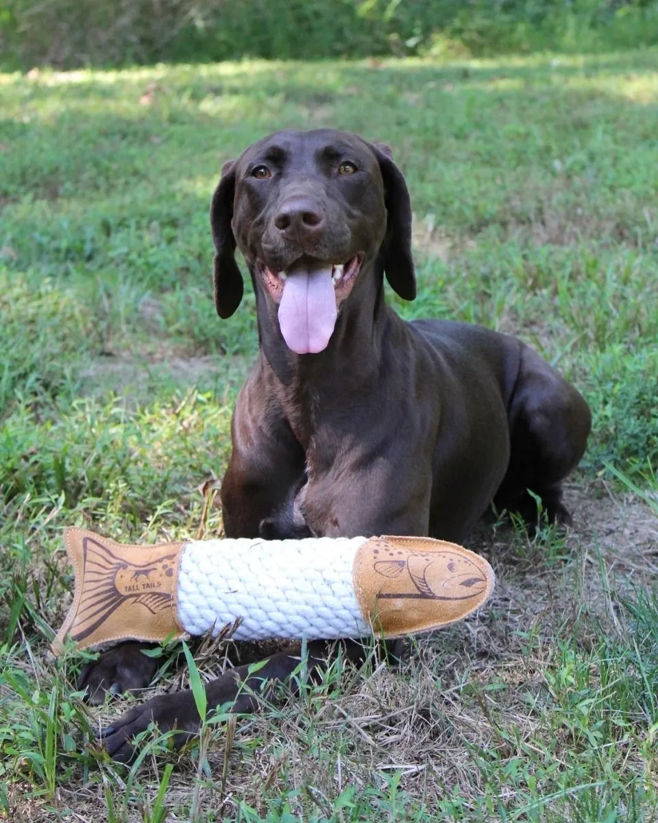Leather Trout Crunch Dog Toy