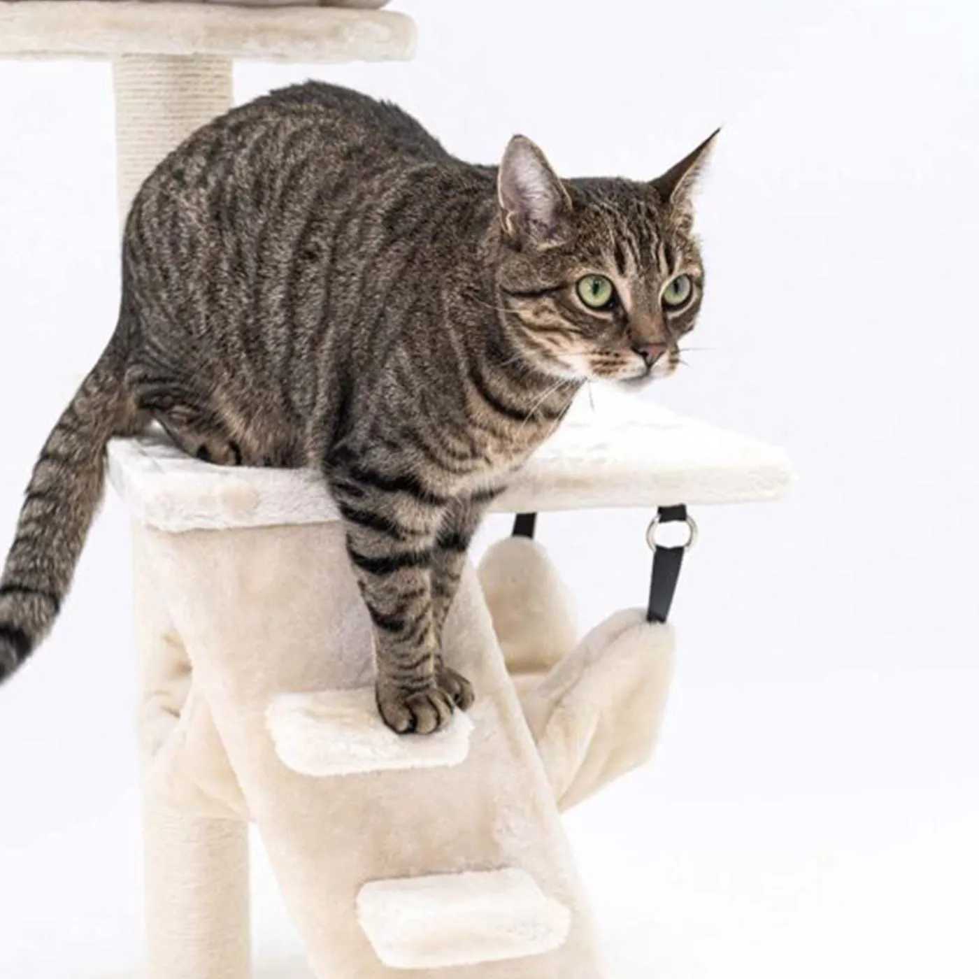 Little Rebels Seattle 89cm Cat Tree