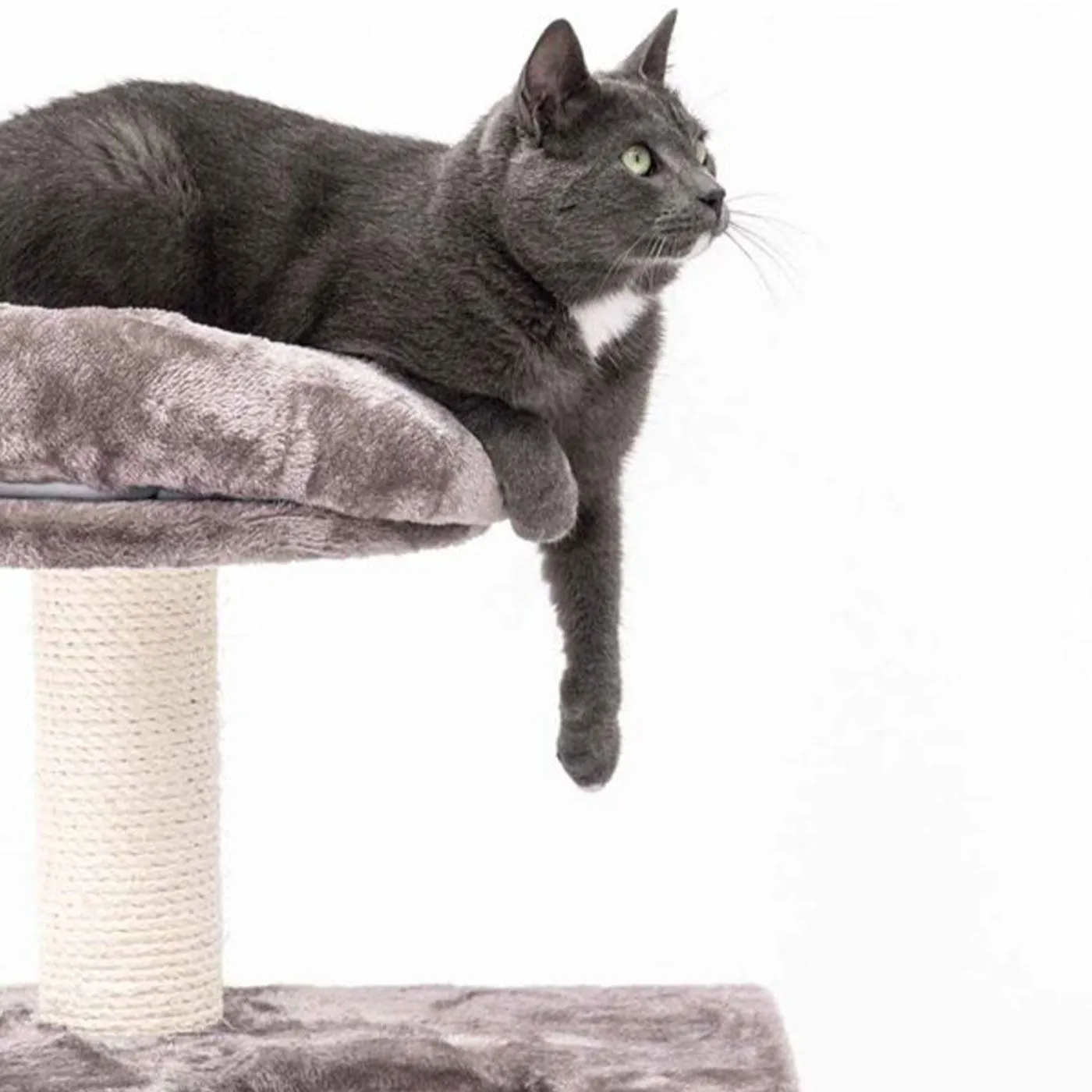 Little Rebels Seattle 89cm Cat Tree