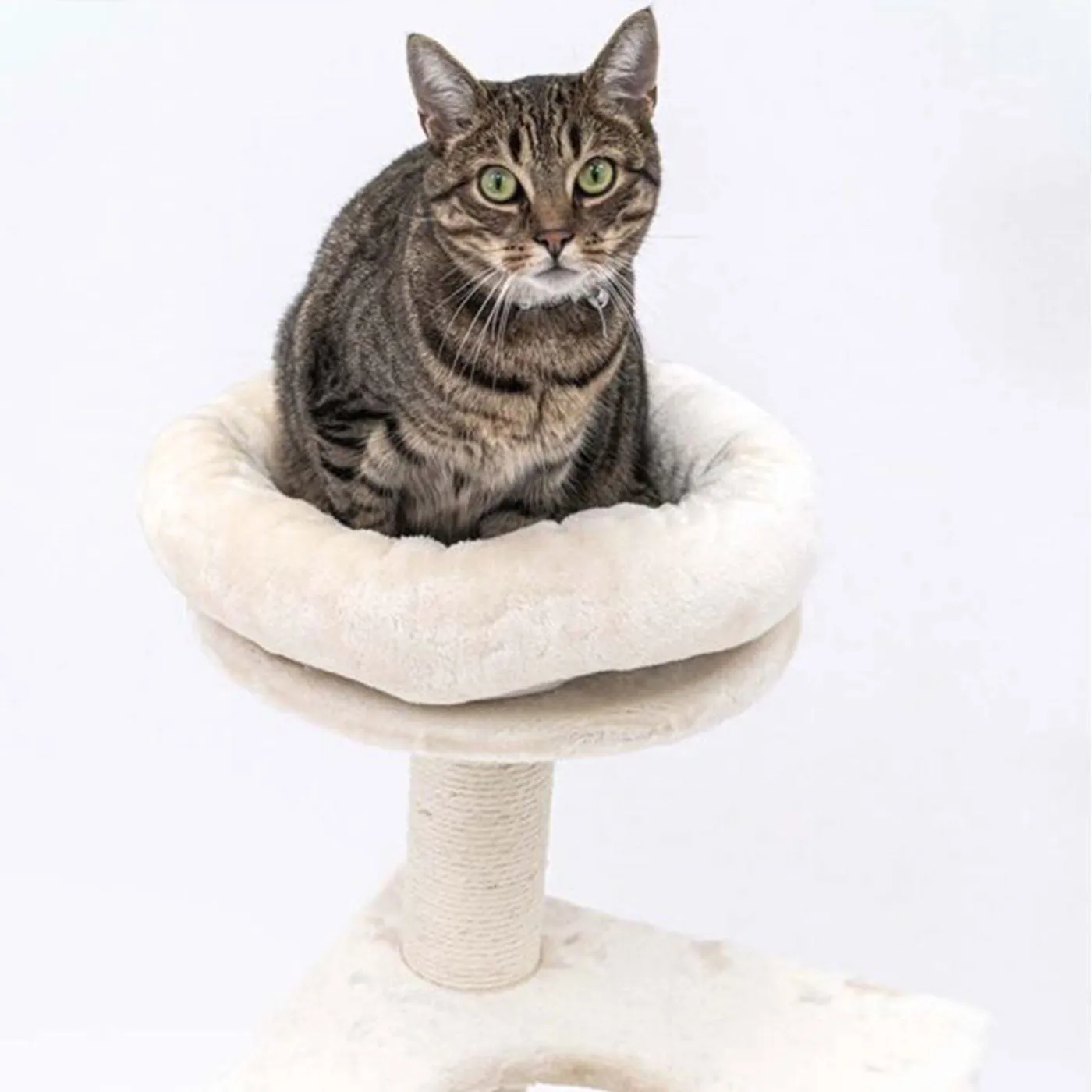 Little Rebels Seattle 89cm Cat Tree