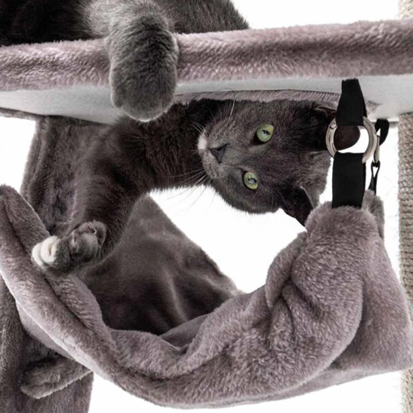 Little Rebels Seattle 89cm Cat Tree