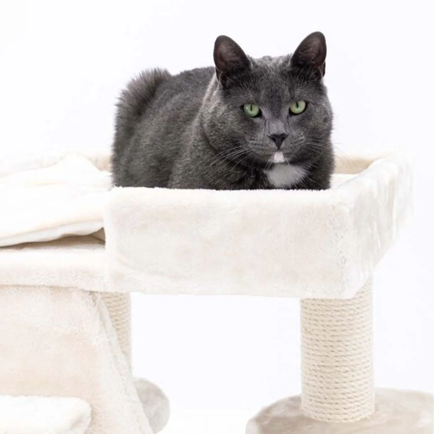 Little Rebels Tucson 61cm Cat Tree