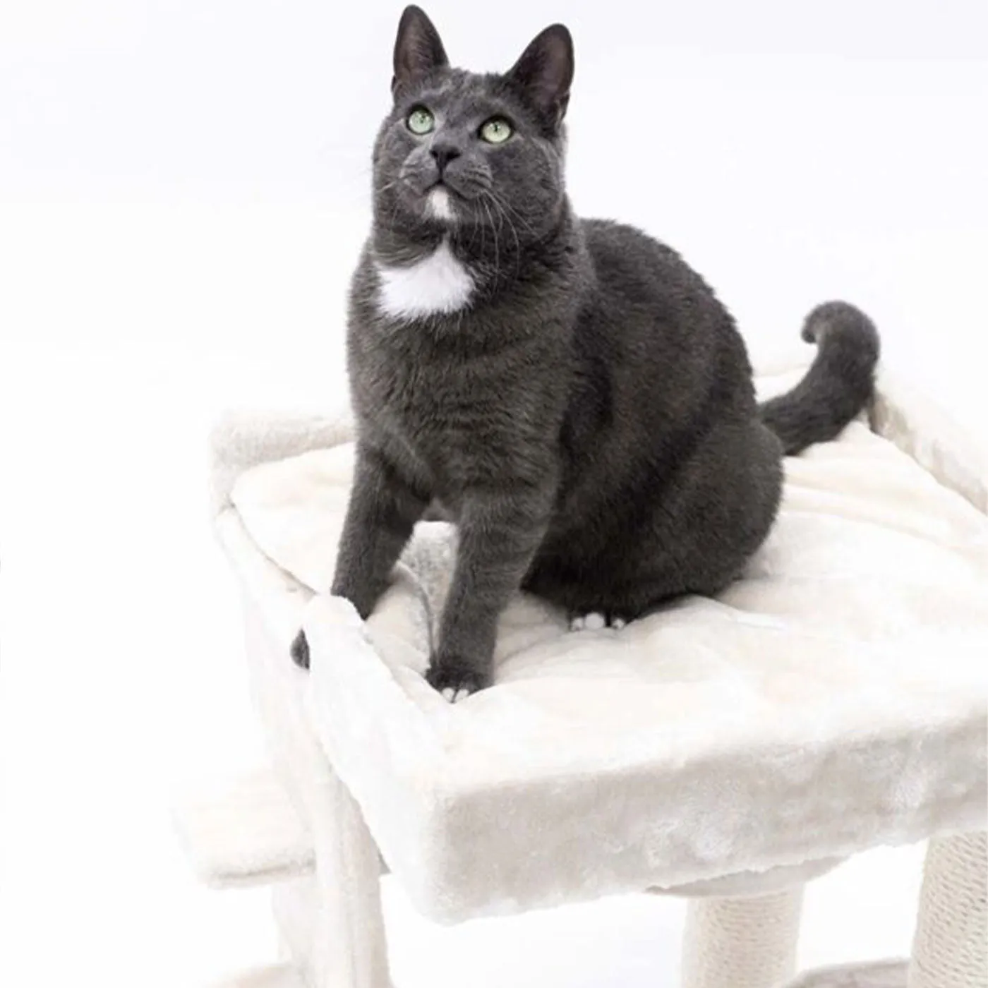Little Rebels Tucson 61cm Cat Tree