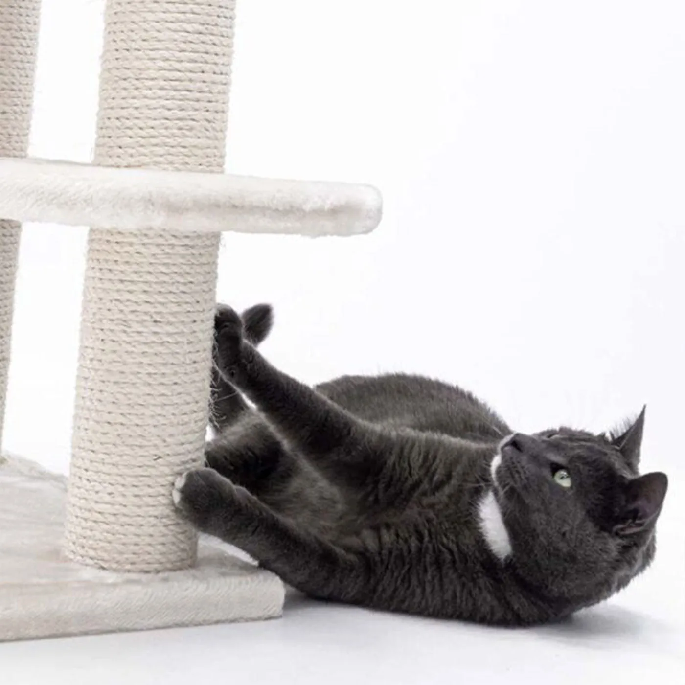 Little Rebels Tucson 61cm Cat Tree
