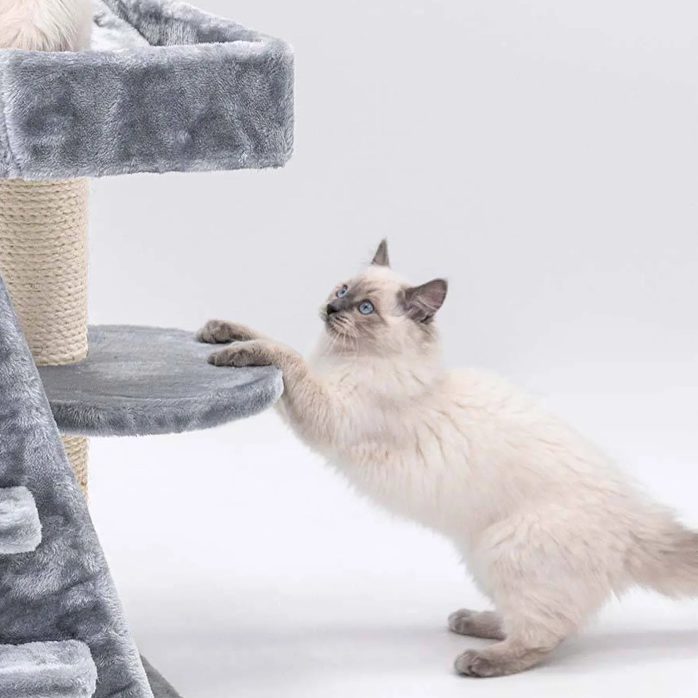 Little Rebels Tucson 61cm Cat Tree