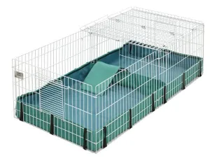 MidWest Guinea Habitat Plus