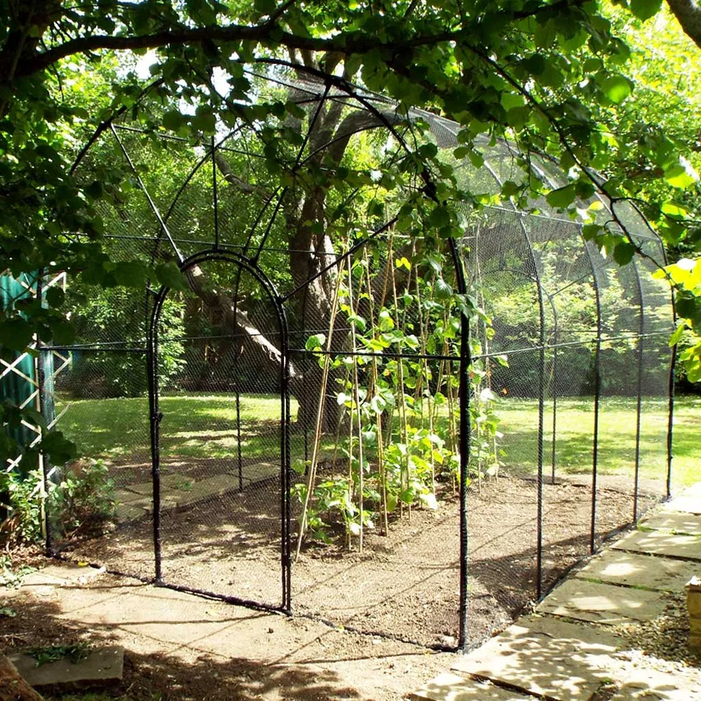Roman Fruit Cage