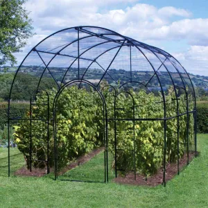 Roman Fruit Cage