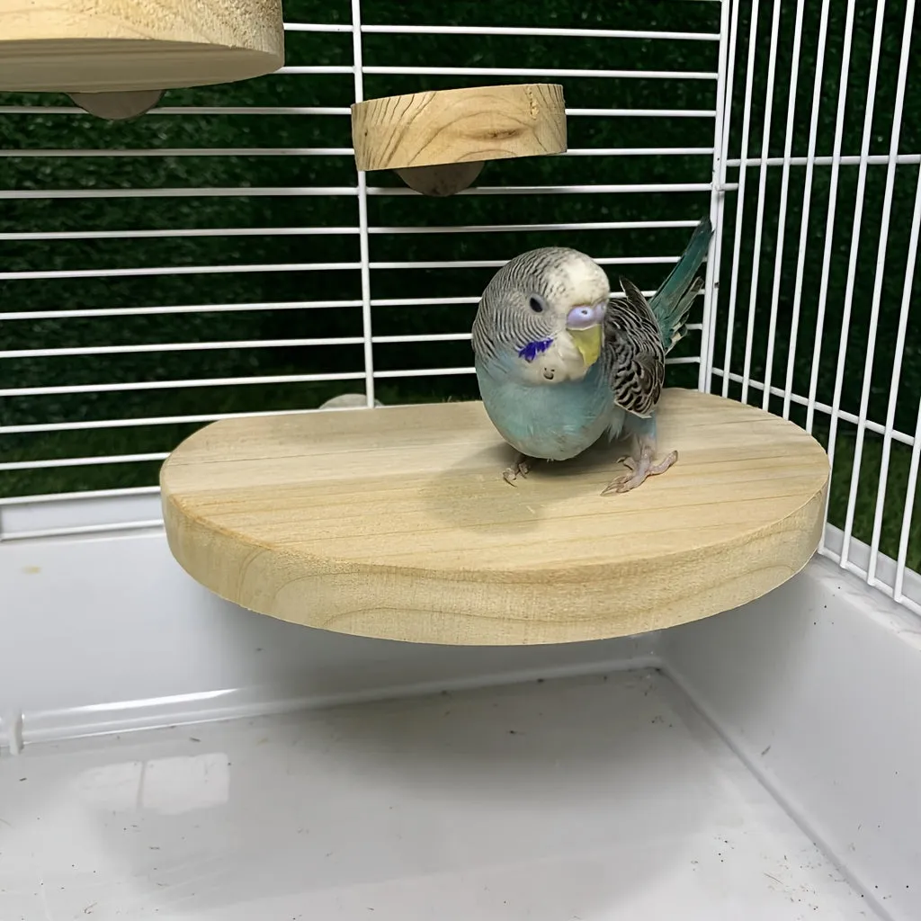 Sturdy Parrot Perch Stand Ideal Cage Playground Accessory
