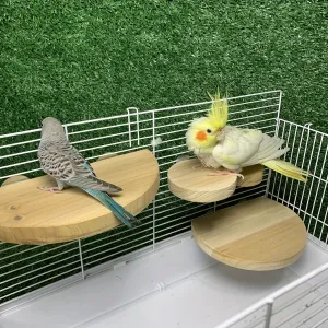 Sturdy Parrot Perch Stand Ideal Cage Playground Accessory