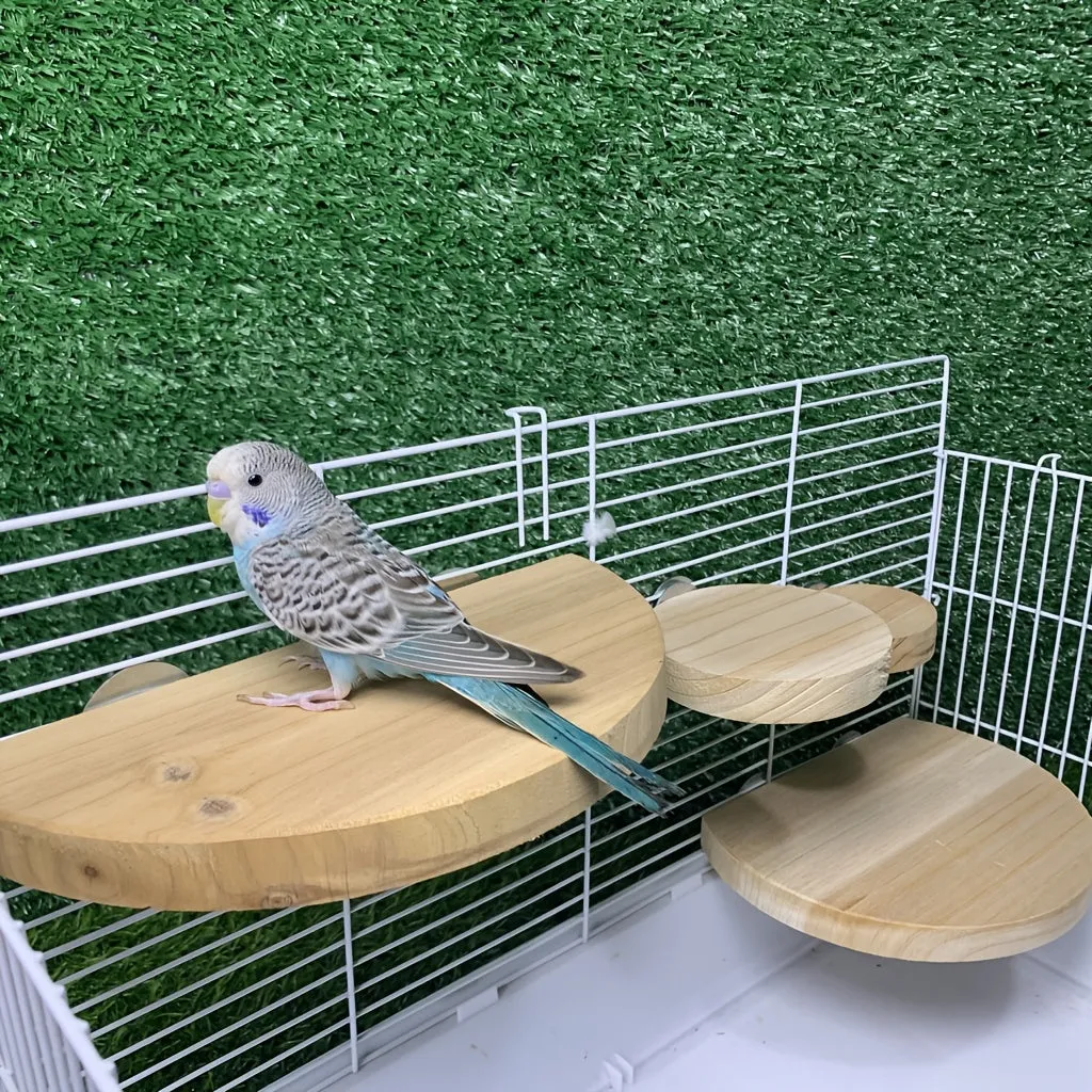 Sturdy Parrot Perch Stand Ideal Cage Playground Accessory