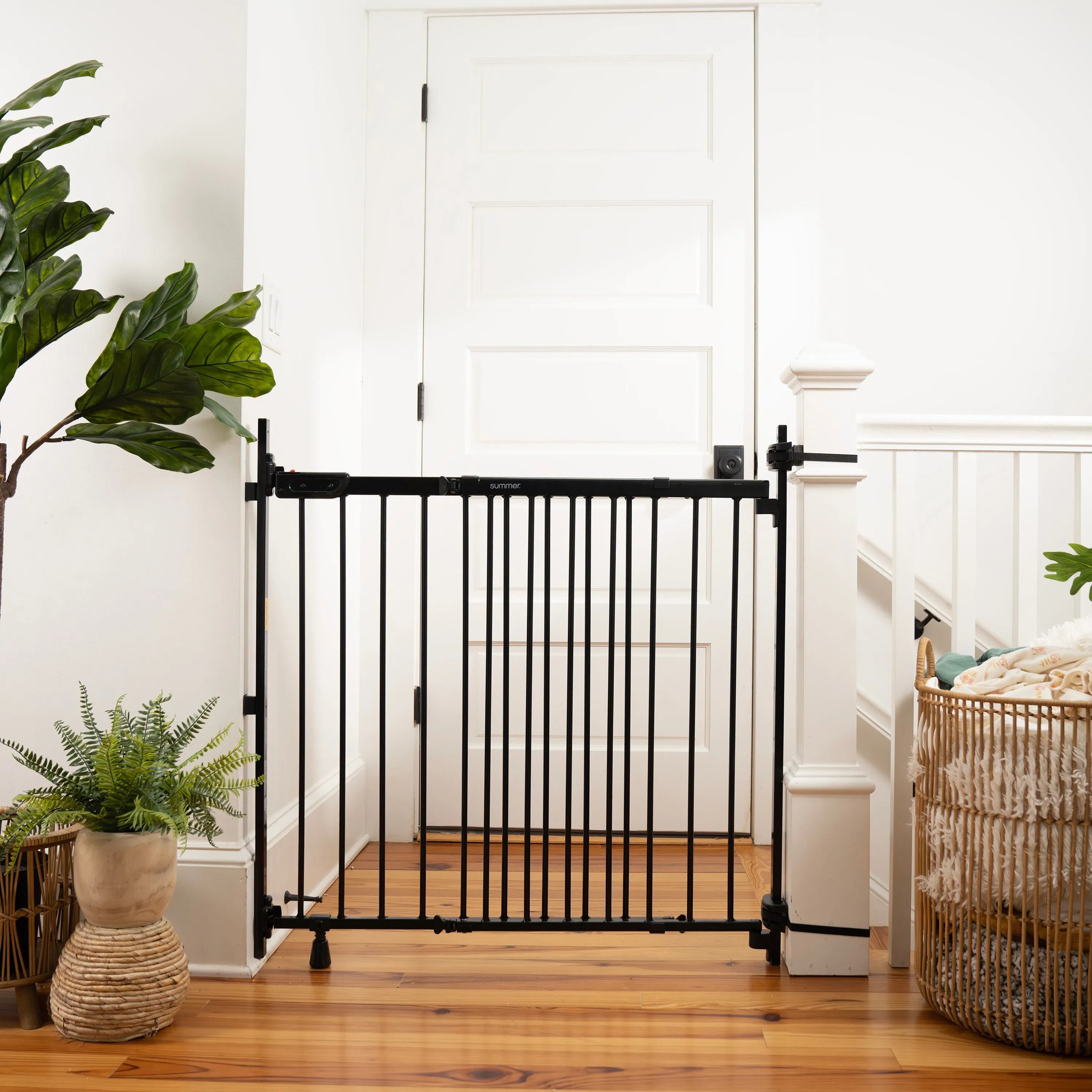 The Stairway  46W Series Pet and Baby Gate, Openings 31"-46" Wide, 32.5" Tall - Black