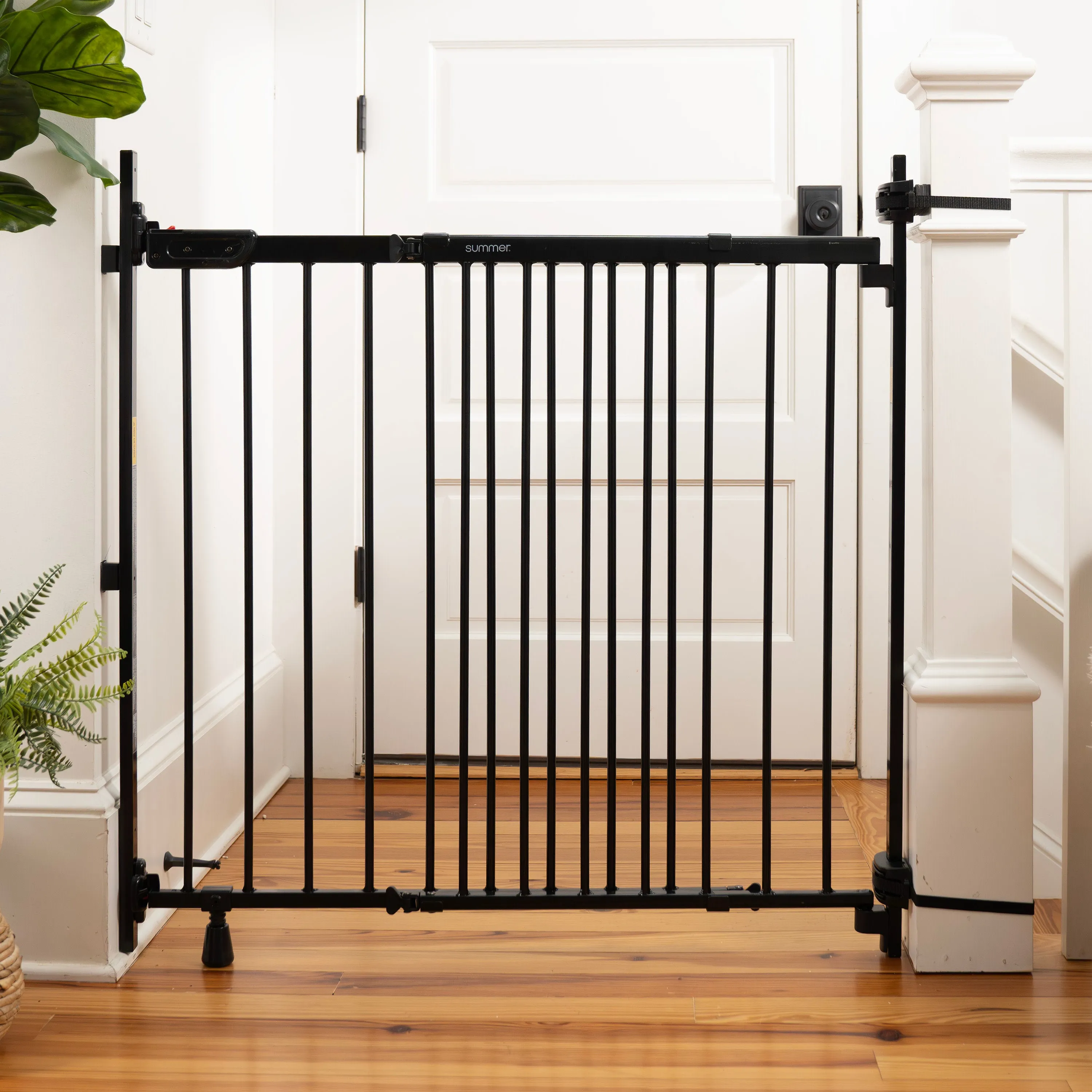 The Stairway  46W Series Pet and Baby Gate, Openings 31"-46" Wide, 32.5" Tall - Black