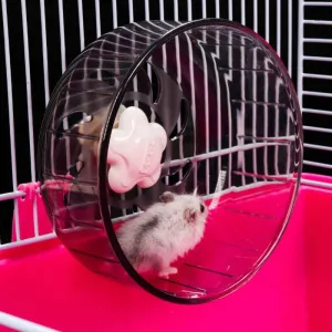Transparen  Exercise Wheel for Small Pets
