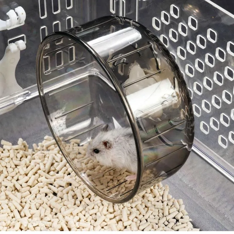 Transparen  Exercise Wheel for Small Pets
