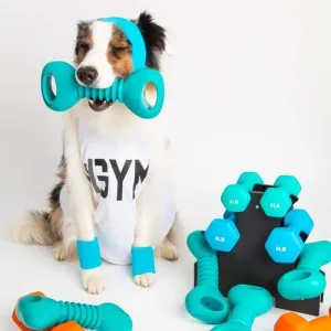 ZippyPaws ZippyTuff Squeakerz Dumbbell Dog Toy